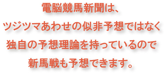 電脳競馬新聞は、きちんとした独自の予想理論を持っているので新馬戦も予想できます。