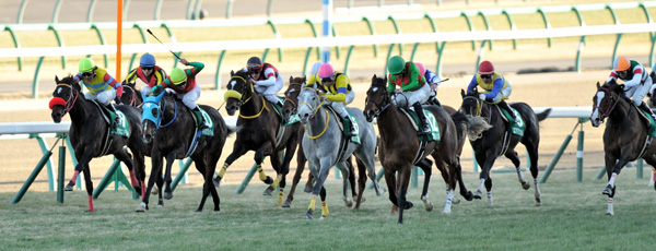 スピード指数競馬予想