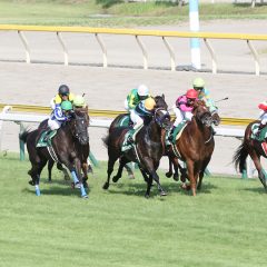 第51回 関屋記念 マヨトラ競馬学園競馬アイドル予想