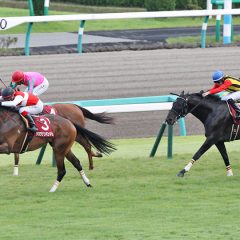 第62回産経賞オールカマー マヨトラ競馬学園競馬アイドル予想
