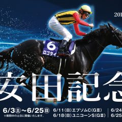 第67回 安田記念 2017 G1 マヨトラ競馬アイドル予想