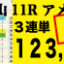2019年01月20日-中山11R-アメリカJCC-電脳競馬新聞3連単123,550円的中!!バナー