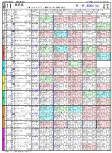 第80回-菊花賞－電脳競馬新聞（GⅠ）