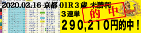 2020年02月16日-京都01R-3歳・未勝利-電脳競馬新聞3連単290,210円的中!!