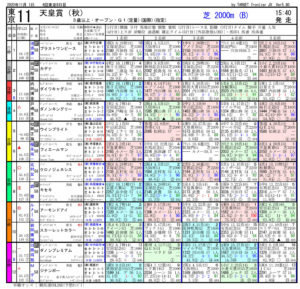 第162回-天皇賞（秋）-電脳競馬新聞pdf