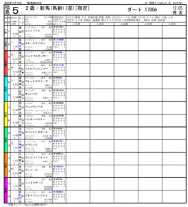 2020年11月14日 福島05R 2歳・新馬戦 電脳競馬新聞3連複117,210円的中!!出馬表pdf