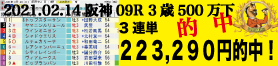 2021年02月14日-阪神09R-3歳500万下-電脳競馬新聞3連単223,290円的中!!バナー