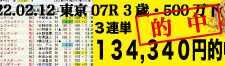 2022年02月12日-東京07R-3歳500万下-電脳競馬新聞-3連単134,340円的中!!バナー