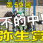 03月06日-第59回-弥生賞-ディープインパクト記念（GⅡ）－電脳競馬新聞無料予想