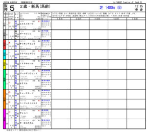 2022年06月25日-阪神05R-2歳新馬-電脳競馬新聞-3連単119,100円的中!!出馬表pdf