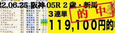 2022年06月25日-阪神05R-2歳新馬-電脳競馬新聞-3連単119,100円的中!!バナー