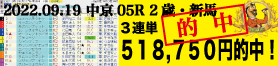 2022年09月19日-中京05R-2歳・新馬-電脳競馬新聞-3連単518,750円的中!!バナー