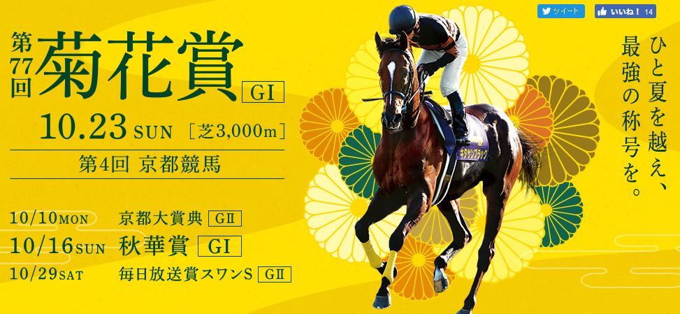 京都競馬場2016年10月のイベント情報