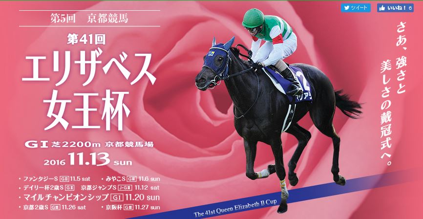 201611京都競馬場