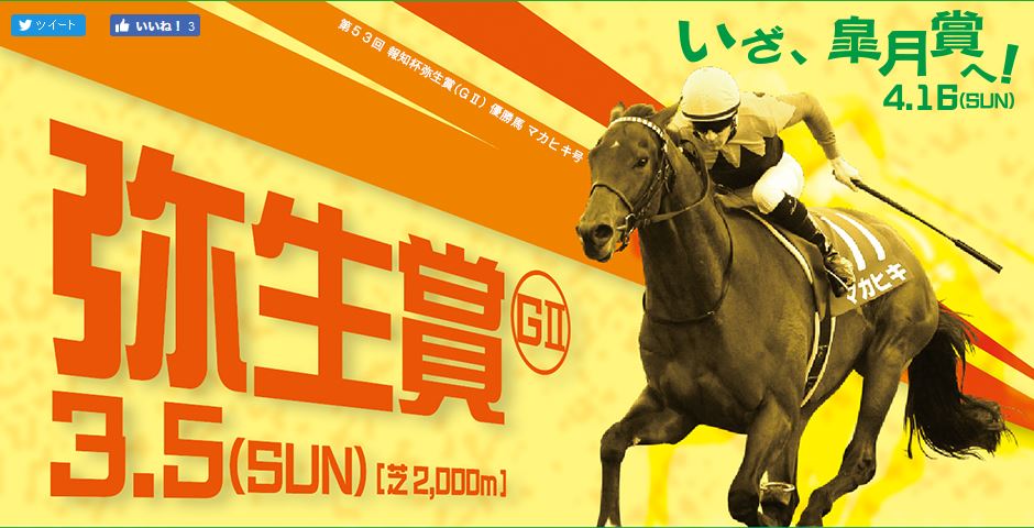 2017年2月中山競馬場イベント情報