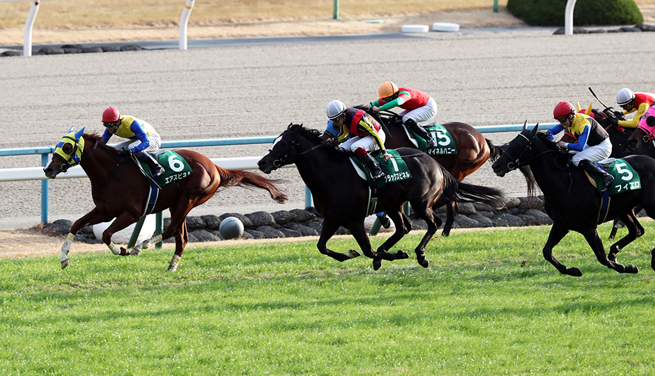 1月6日 第56回 スポーツニッポン賞 京都金杯（GⅢ）