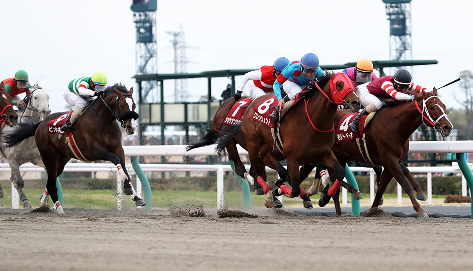 1月21日 第35回 東海ステークス（GⅡ）予想情報