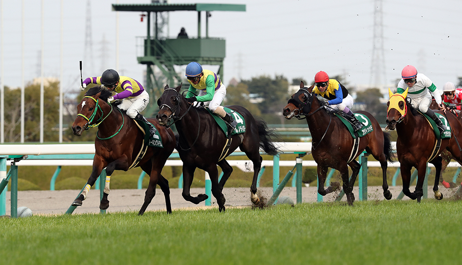 2月25日 第62回 阪急杯（GⅢ）予想情報