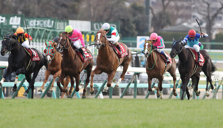 中山競馬場,2月25日 競馬,第92回 中山記念（GⅡ）