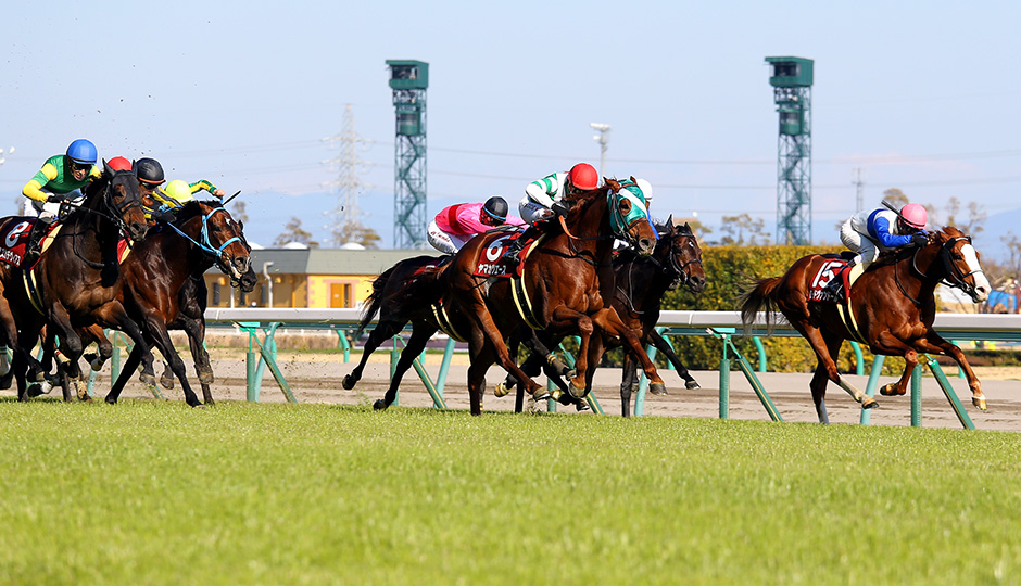 小倉競馬場,3月11日 競馬,第54回 金鯱賞（GⅡ）