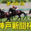 第66回-神戸新聞杯（GⅡ）電脳競馬新聞