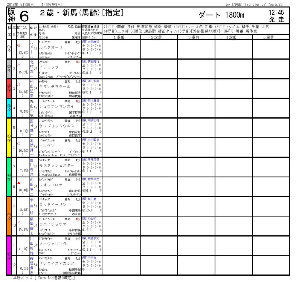 2018年9月29日開催 阪神06R 2歳新馬 電脳競馬新聞3連単318,430円馬券的中