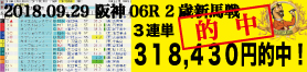 2018年9月29日-阪神06R-2歳・新馬-電脳競馬新聞3連単318,430円的中！