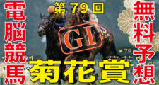10月21日-第79回-菊花賞（GⅠ）電脳競馬新聞