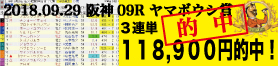 2018年9月29日-阪神09R-ヤマボウシ賞-電脳競馬新聞3連単118,900円的中！