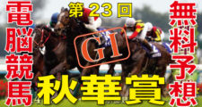 第23回-秋華賞（GⅠ）電脳競馬新聞