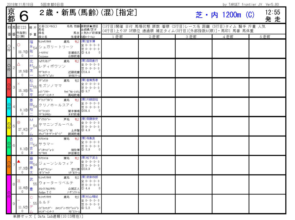 2018年11月18日開催 京都06R 2歳・新馬戦 電脳競馬新聞3連単166,570円馬券的中