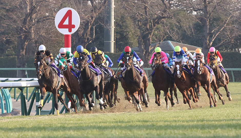 12月23日 第63回 有馬記念（GⅠ）予想情報