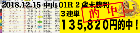 2018年12月15日-中山01R-2歳・未勝利-電脳競馬新聞3連単135,820円的中!!バナー