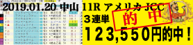 2019年01月20日-中山11R-アメリカJCC-電脳競馬新聞3連単123,550円的中!!バナー