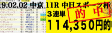 2019年02月02日-中京11R-中日スポーツ杯-電脳競馬新聞3連単114,350円的中!!バナー