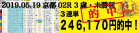 2019年05月19日 京都02R 3歳・未勝利 電脳競馬新聞3連単246.170円的中!!