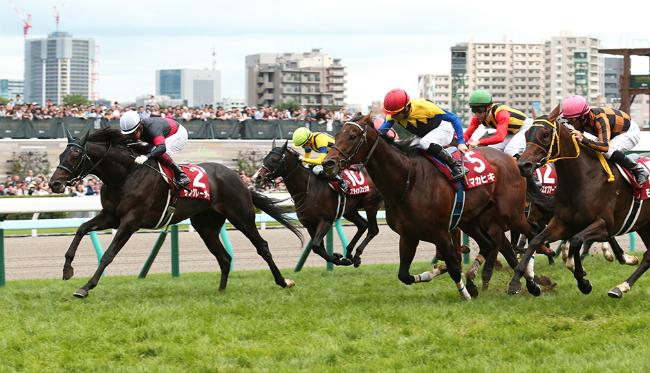 08月18日 第55回 札幌記念（ＧⅡ）予想情報