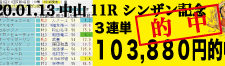 2020年01月12日-中山11R-第54回シンザン記念-電脳競馬新聞3連単103,880円的中!!バナー