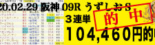 2020年02月29日-阪神09R-うずしおステークス-電脳競馬新聞3連単104,460円的中!!バナー