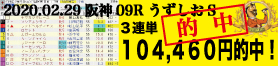 2020年02月29日-阪神09R-うずしおステークス-電脳競馬新聞3連単104,460円的中!!バナー