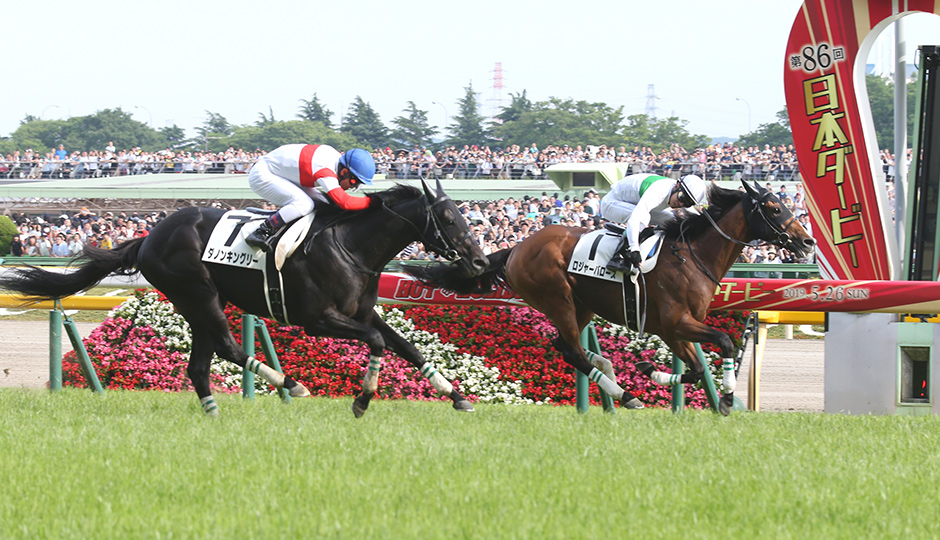 05月31日 第87回 日本ダービー東京優駿（GⅠ）予想情報