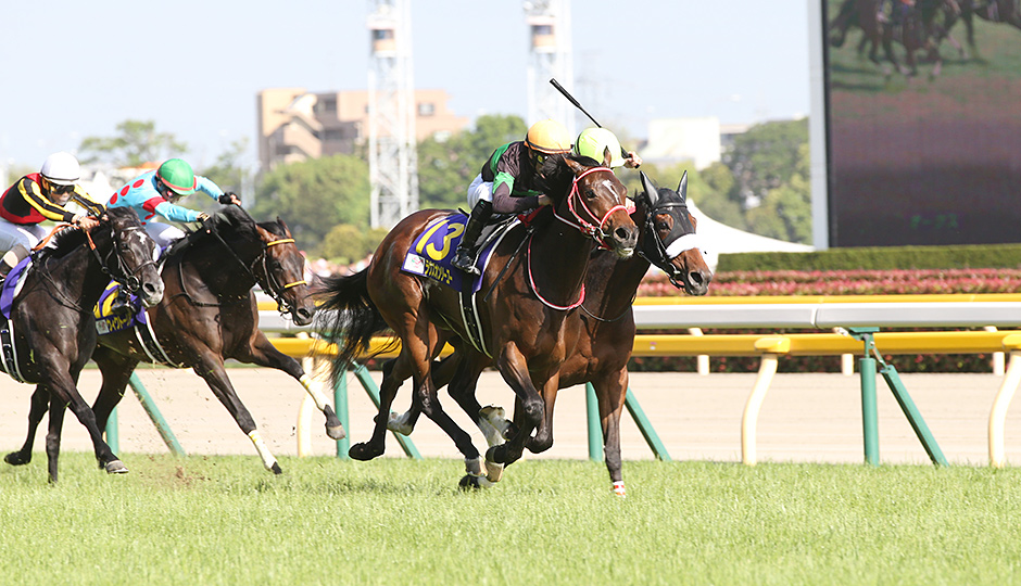 05月24日 第81回 優駿牝馬オークス（GⅠ）電脳競馬新聞無料予想情報