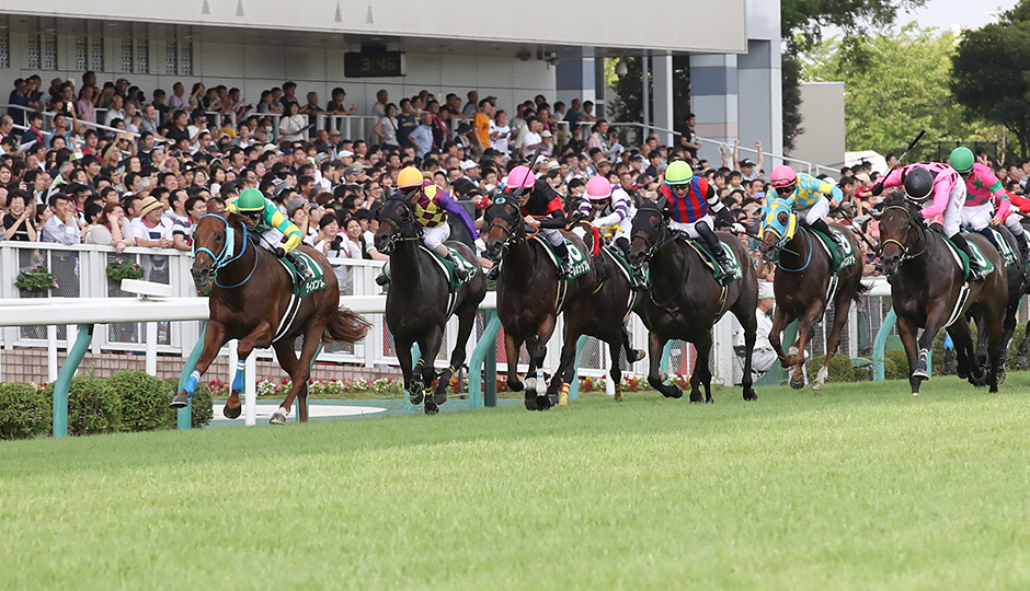 07月26日 第20回 アイビスサマーダッシュ（GⅢ）予想情報