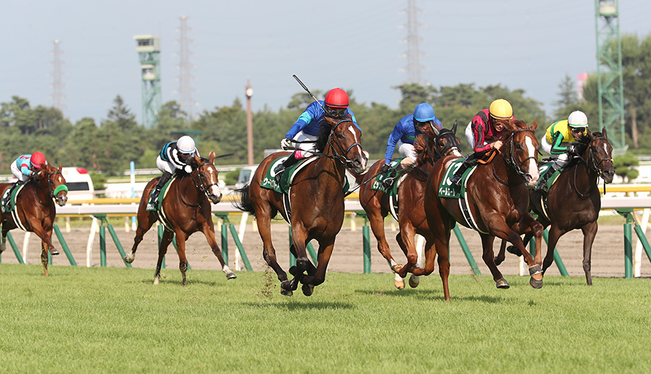 08月30日 第40回 新潟2歳ステークス（GⅢ）予想情報