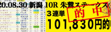 2020年08月30日-新潟10R-朱鷲ステークス-電脳競馬新聞3連単101,830円的中!!バナー