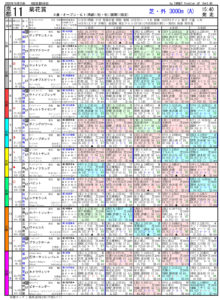 第81回-菊花賞（GⅠ）-電脳競馬新聞pdf