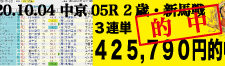 2020年10月04日-中京05R-2歳・新馬戦-電脳競馬新聞-3連単425,790円的中!!