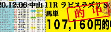 2020年12月06日-中山11R-ラピスラズリS-電脳競馬新聞3連単107,160円的中!!