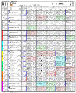 2021年02月27日-阪神11R-仁川ステークス-電脳競馬新聞3連単107,870円的中!!出馬表pdf