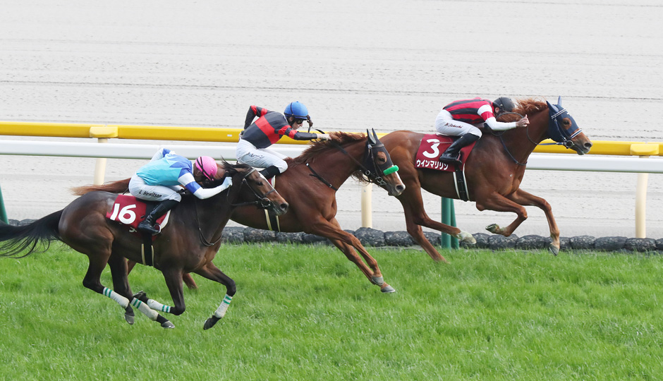 04月25日 第56回 フローラステークス（GⅡ）電脳競馬新聞予想情報